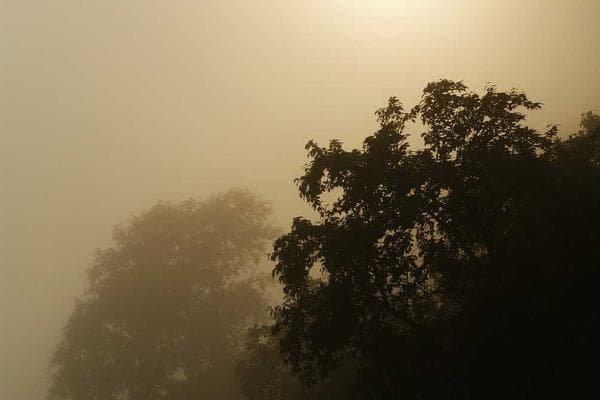 Community Change-Makers