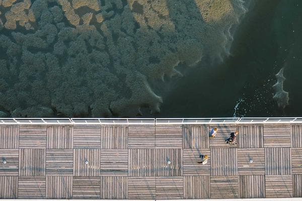 Tech-Driven Leadership